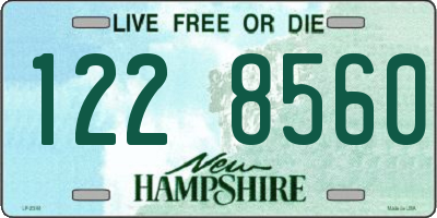 NH license plate 1228560