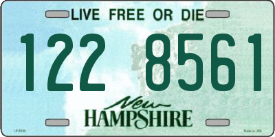 NH license plate 1228561