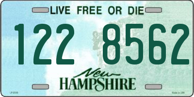 NH license plate 1228562