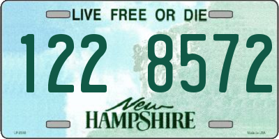 NH license plate 1228572