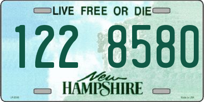 NH license plate 1228580