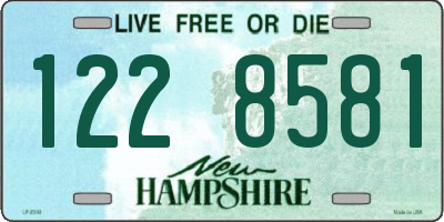 NH license plate 1228581