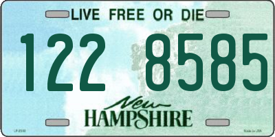 NH license plate 1228585