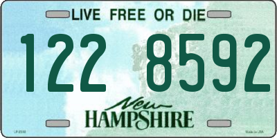 NH license plate 1228592