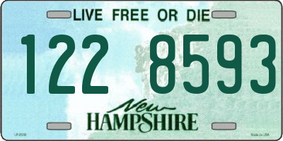 NH license plate 1228593
