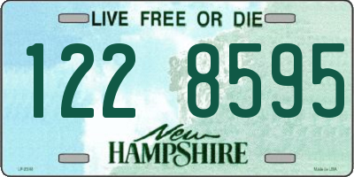 NH license plate 1228595