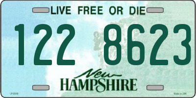 NH license plate 1228623