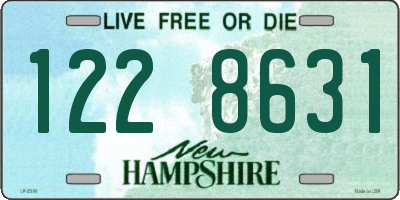 NH license plate 1228631