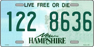 NH license plate 1228636