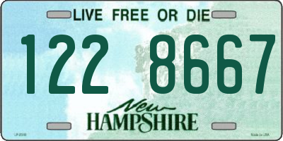 NH license plate 1228667