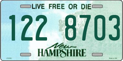 NH license plate 1228703