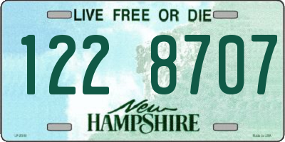 NH license plate 1228707
