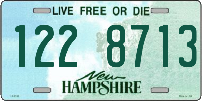 NH license plate 1228713
