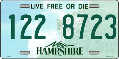 NH license plate 1228723