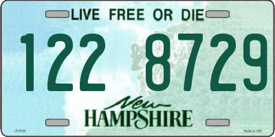 NH license plate 1228729
