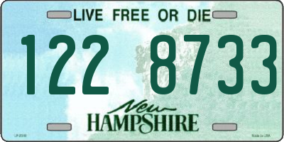 NH license plate 1228733