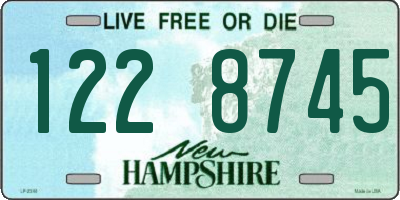 NH license plate 1228745