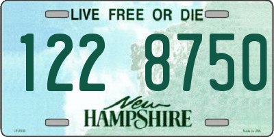 NH license plate 1228750
