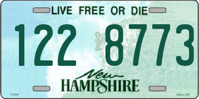 NH license plate 1228773