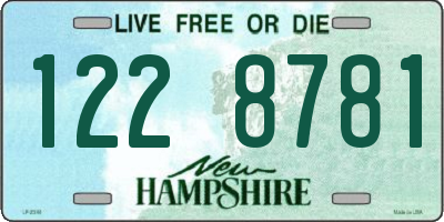 NH license plate 1228781