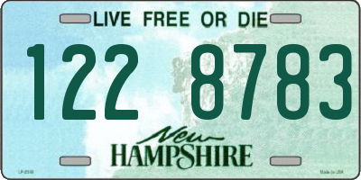 NH license plate 1228783