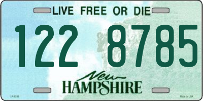 NH license plate 1228785