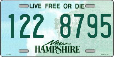 NH license plate 1228795