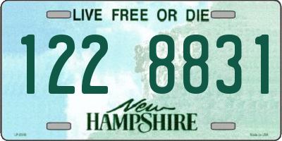 NH license plate 1228831