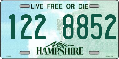 NH license plate 1228852