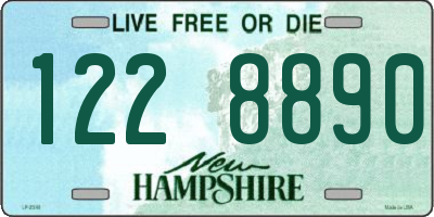 NH license plate 1228890