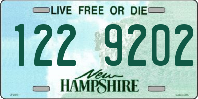 NH license plate 1229202