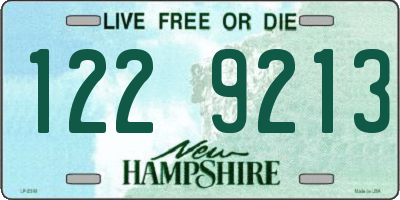 NH license plate 1229213