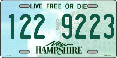 NH license plate 1229223