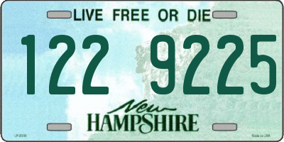 NH license plate 1229225