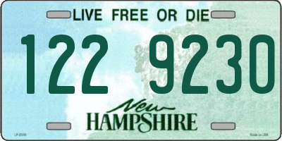 NH license plate 1229230