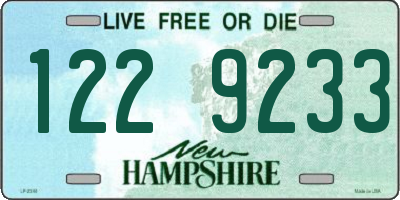 NH license plate 1229233
