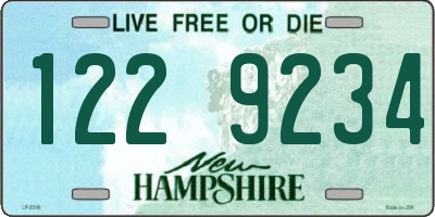 NH license plate 1229234