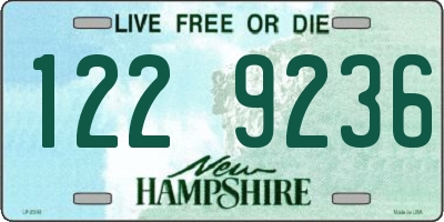 NH license plate 1229236