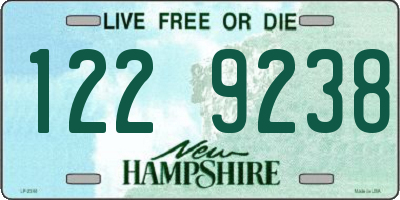 NH license plate 1229238