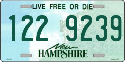 NH license plate 1229239