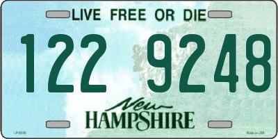 NH license plate 1229248