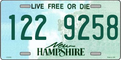 NH license plate 1229258