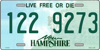 NH license plate 1229273