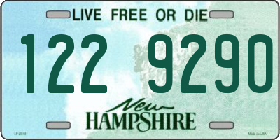 NH license plate 1229290
