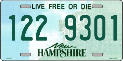 NH license plate 1229301