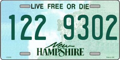 NH license plate 1229302