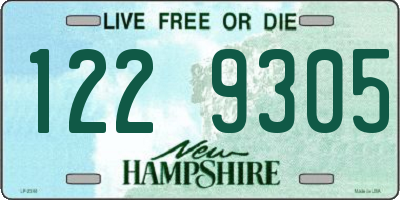NH license plate 1229305