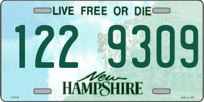 NH license plate 1229309