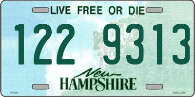 NH license plate 1229313