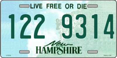 NH license plate 1229314